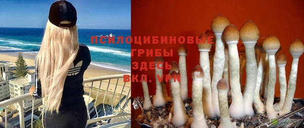 кокаин Рославль