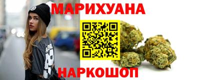 крисы Дубна