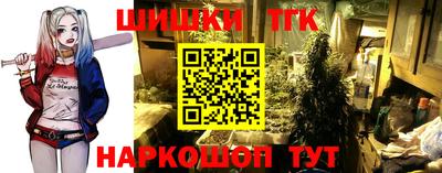 крисы Дубна