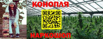 каннабис Донской