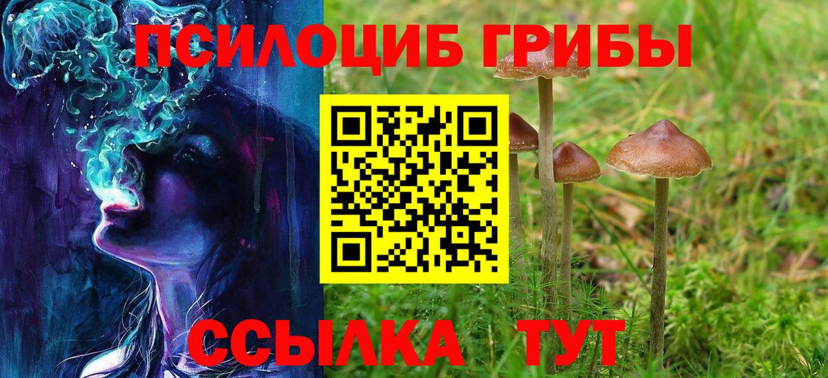 Галлюциногенные грибы GOLDEN TEACHER Обнинск