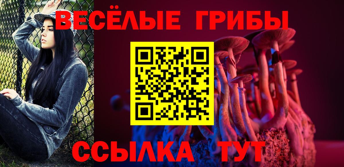 Обнинск  Псилоцибиновые грибы мухоморы  Вход с VPN 