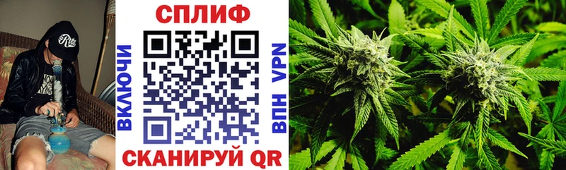 Бошки Шишки White Widow  mega маркетплейс  Обнинск 